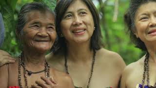 KEHIDUPAN ORANG RIMBA DI TAMAN NASIONAL BUKIT DUABELAS JAMBI KEHIDUPAN ORANG RIMBA DI TAMAN NASIONAL BUKIT DUABELAS JAMBI