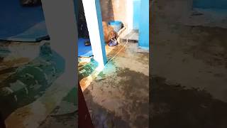 Httpsyoutubecomshortsbmqcf8hvdzasiginm2pltp5gcdph bollywood sajaungalutkarbhiterebadank