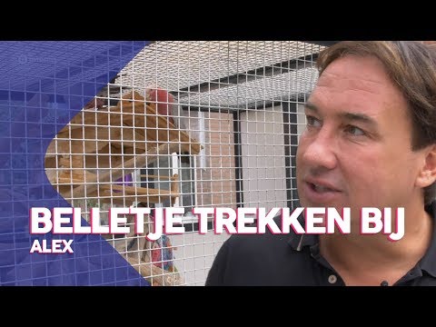 Vreemde vogels en