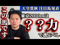 【天皇賞秋2025】【実力拮抗】現役トップクラスの実力馬がこの人気ならオッズ妙味しかありません