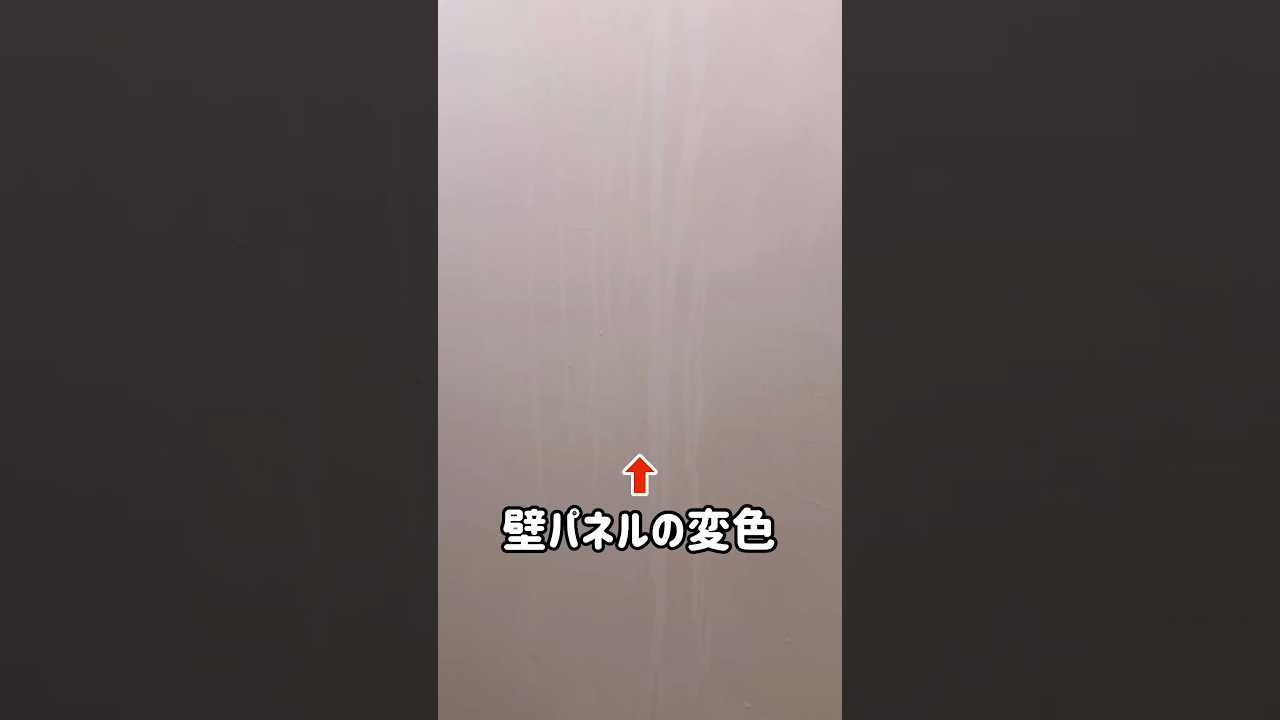 【風呂掃除】壁パネルの変色はもどるのか？