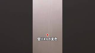 【風呂掃除】壁パネルの変色はもどるのか？