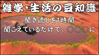 【雑学】【聞き流し】雑学・生活の豆知識…理科・動物、取りまとめ集。睡眠・作業用にも。