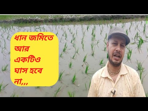 ভিডিও: একটি chmp কখন প্রয়োজন?