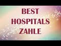 Hospitals And Clínics In Zahle Lebanon 