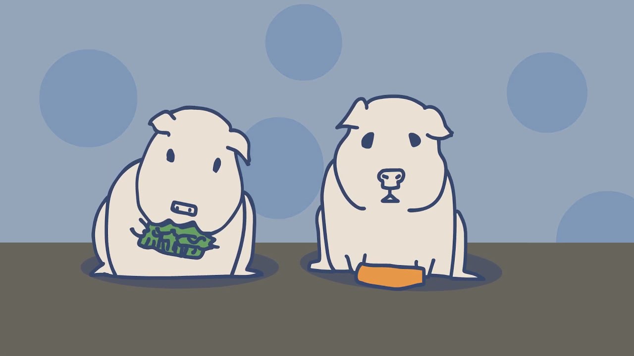 Грустная морская свинка (анимация) - YouTube