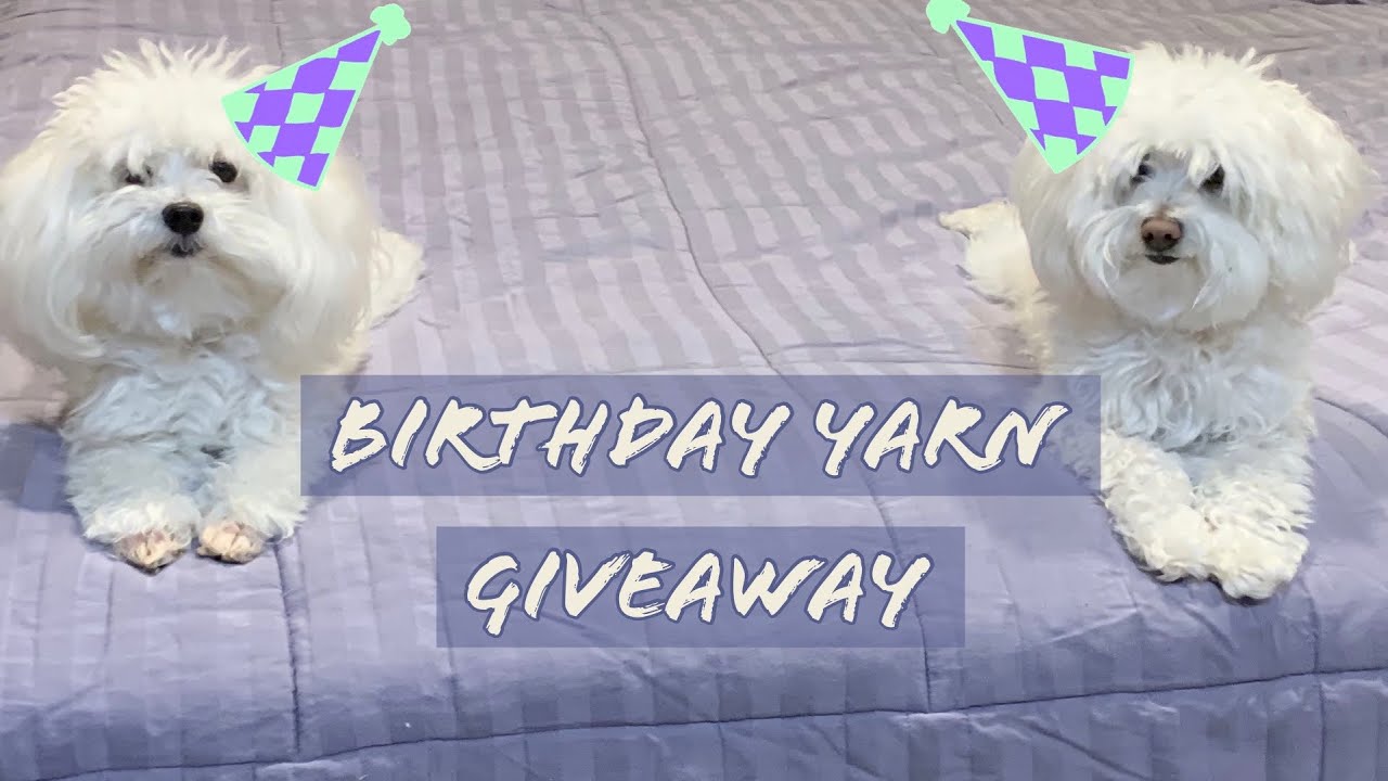 *CLOSED* Birthday Yarn Giveaway from Epic Yarn Gems