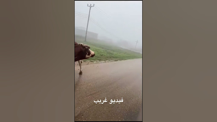 فيديو غزيب جدا في صلاله فقط🇴🇲