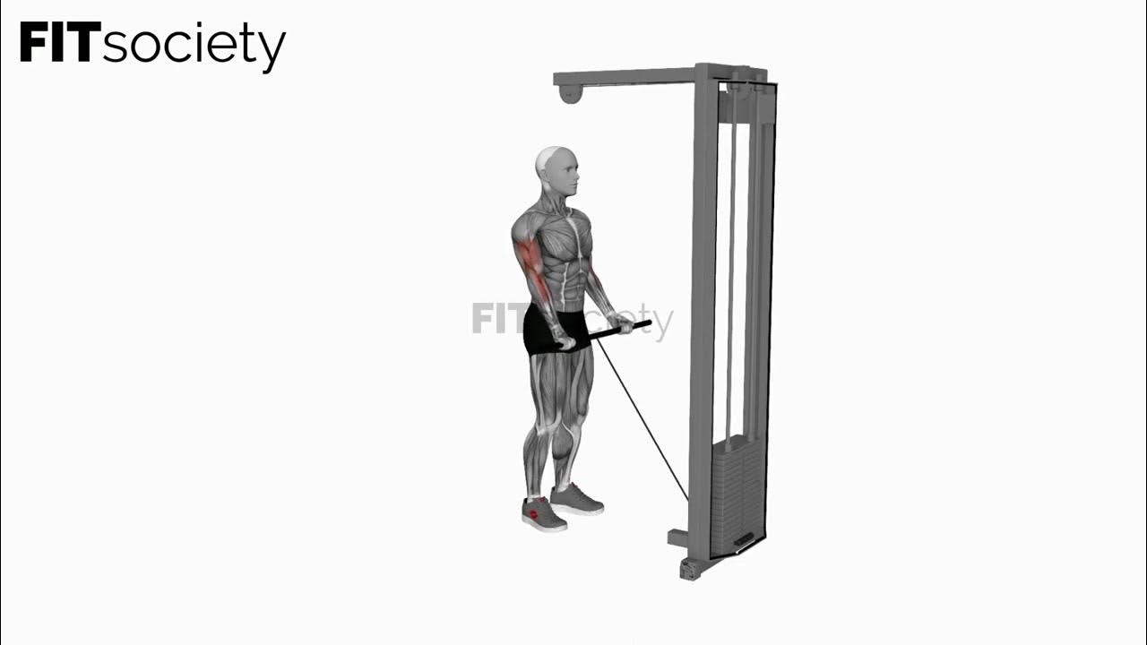Cable Close Grip Curl Exercise Fitness Oefening Fitsociety YouTube