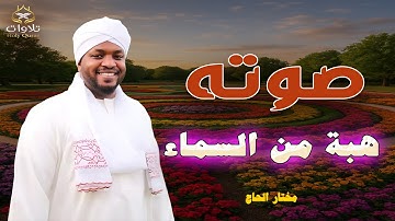 تلاوة مهيبة لسورة البقرة بصوت القارئ مختار الحاج، تلاوة تلامس أعماق القلب وتملأ النفس بالطمأنينة.