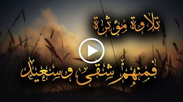 فمنهم شقى وسعيد | تلاوة مؤثرة لأواخر سورة هــود