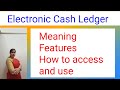 Accounting Concepts - Electronic Cash Ledger