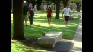 TAMU09B-Creativity-GROUP05