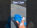 Sonic the sea lion