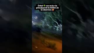 Esta noche no salga Esta noche no salga