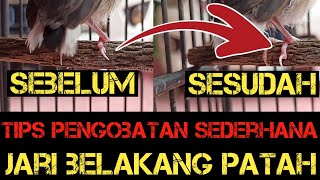 Pengobatan jari belakang yang patah‼️pertolongan pertama sebelum terjadi hal fatal‼️tips & tutorial❗