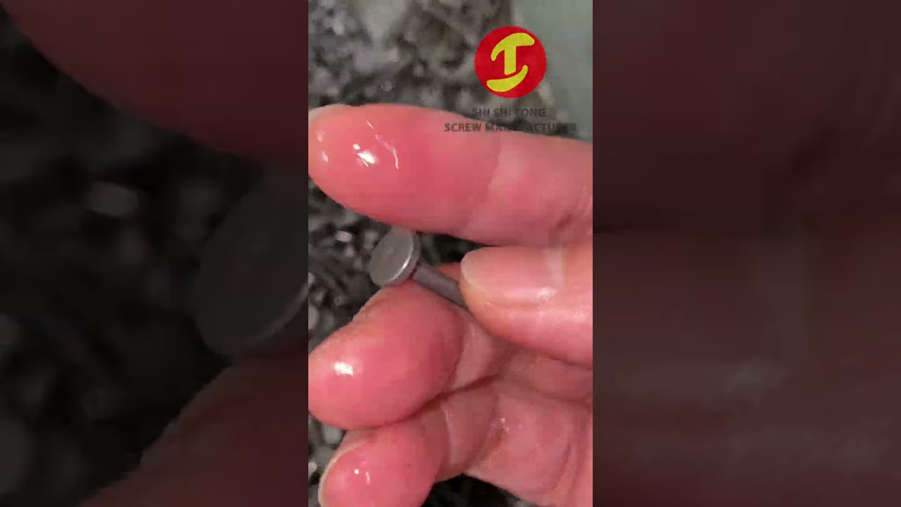 Customized special slotless large flat head screw