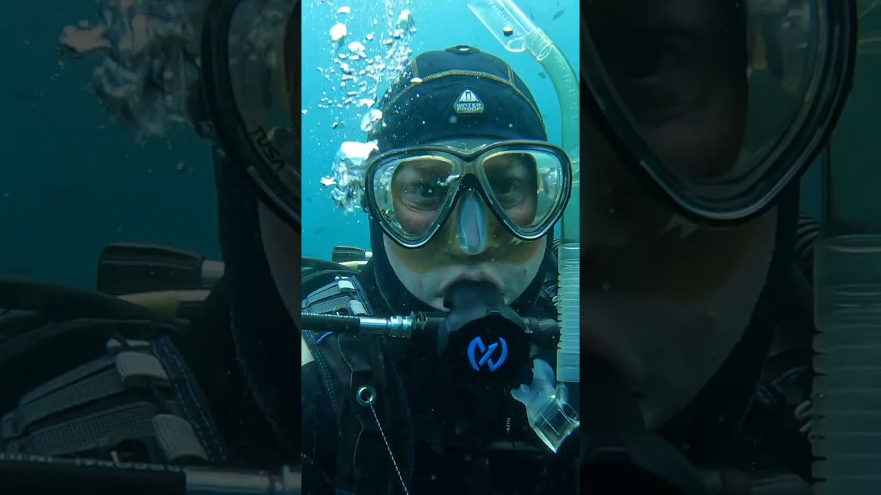 SCDiving | A Country Diver Short