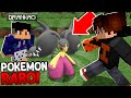 DEI O MELHOR POKÉMON MEGA PRO MEU AMIGO no PIXELMON!