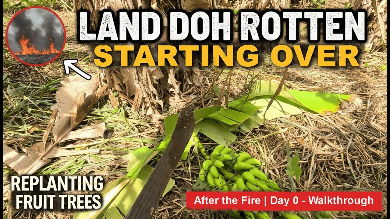 Day Zero: Rebuilding Our Trinidad Farm - The Walkthrough 🇹🇹