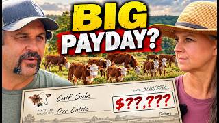 What does a small cattle farm REALLY Make?