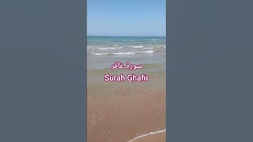 سورة غافر Surah Ghafir | قرآن كريم | #المصحف #اكسبلور #الشيخ #راحة_نفسية #قرآن
