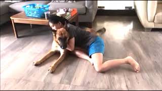 Hugging my dog for too long  [FUNNY COMMENTARY AND REACTION]