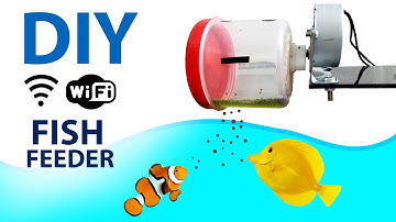 DIY WiFi Fish Feeder