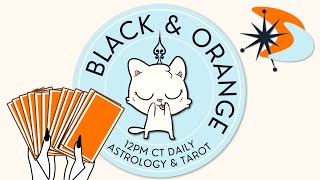 Daily Live Political Tarot Readings - May 4, 2026