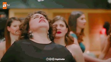 Thumbnail of Ömer Faruk bostan erik dalı