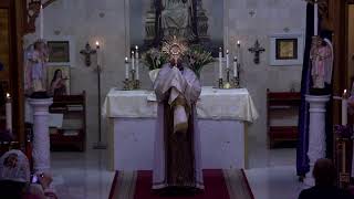 St. Mary Coptic Catholic Church Live Stream: