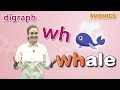 Phonics Step 4 | Lesson 12 Digraph wh | 4 Step Phonics