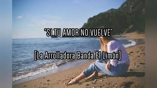 Si tu amor no vuelve(letra) - La Arrolladora Banda El Limón