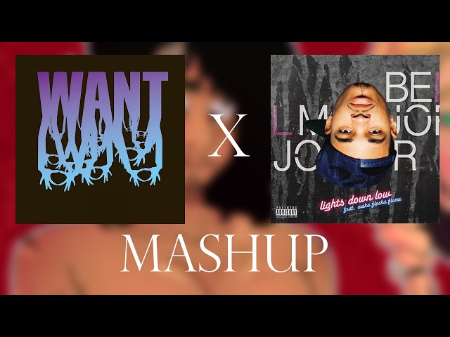 Lights Down Low x RICHMAN [MASHUP]
