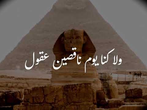 من يجي 7000 سنه