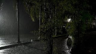 Heavy Rain in the Tropical Garden - Relaxing Rain Sounds For Sleep - Sleep Instantly With Heavy Rain