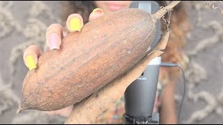 ASMR - NO TALK - Satisfying & Natural Sound With Luffa Sponge ( Review )