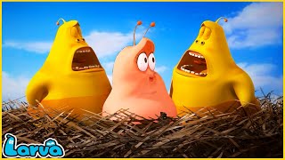 LARVA | CHICKEN | CARTOON MOVIE FOR LIFE |THE BEST OF CARTOON | HILARIOUS CARTOON COMPILATION