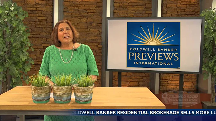 Gail Wallace Interview