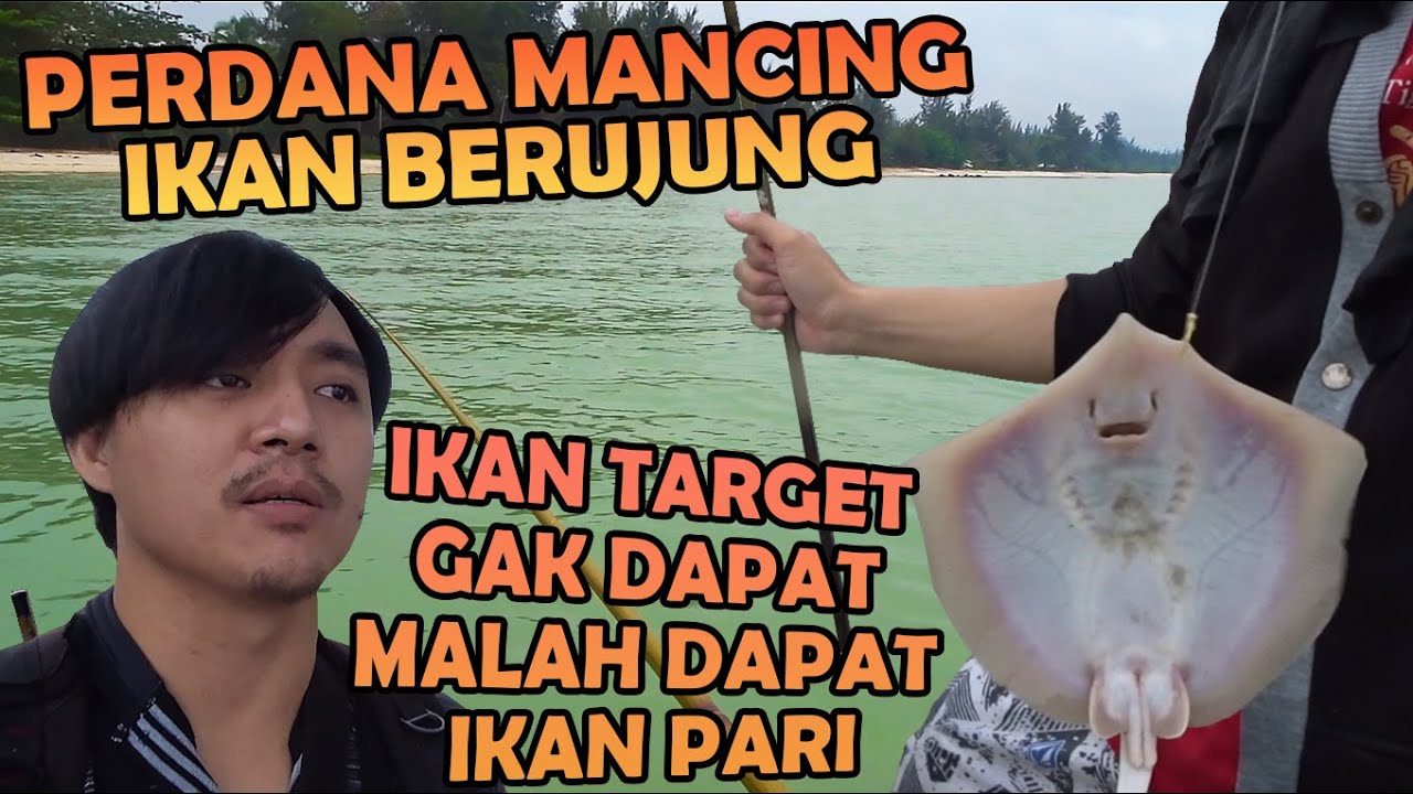 PERDANA MANCING IKAN BERUJUNG ATAU IKAN BEBULUS DI PULAU BANGKA DAN HASILNYA IKAN LAIN YANG STRIKE
