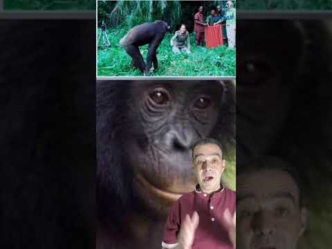 لو صاحبك قرد فانت من المحظوظين 