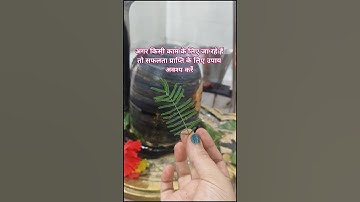 शमी के पत्ते  का विशेष उपाय सफलता प्राप्ति के लिए #upay#pradeepmishra#shivpuran#shiv#bhakti