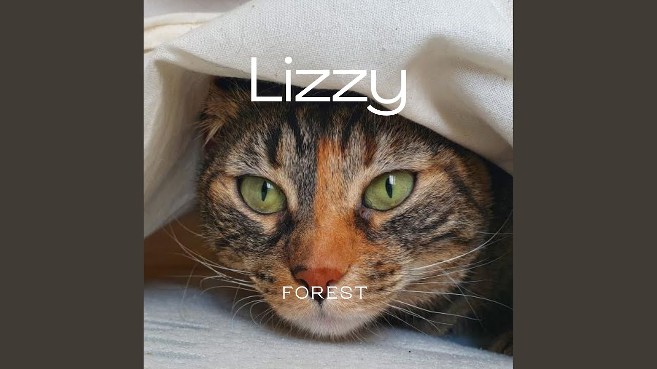Lizzy auf YouTube ansehen Lizzy auf YouTube ansehen