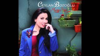 ceylan Bozoğlu - Devran Dönecek Resimi