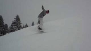 BS 360
