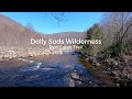 Dolly sods wilderness  red creek trail  4k