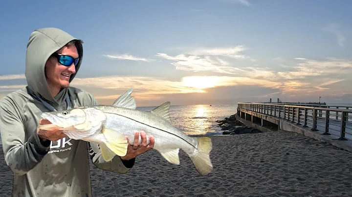 Sebastian Inlet the CRAZIEST pier! Fishing BIG live baits for big snook