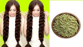 Rosemary for double hair growth and lengthening, moisturizing, stopping hair loss, henna, oil