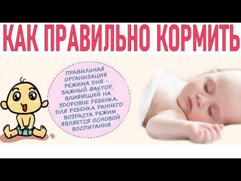 КОРМЛЕНИЕ ПО ЧАСАМ ИЛИ ПО ТРЕБОВАНИЮ | Как лучше кормить новорожденного ребенка