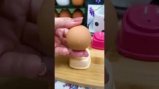 Egg Piercer